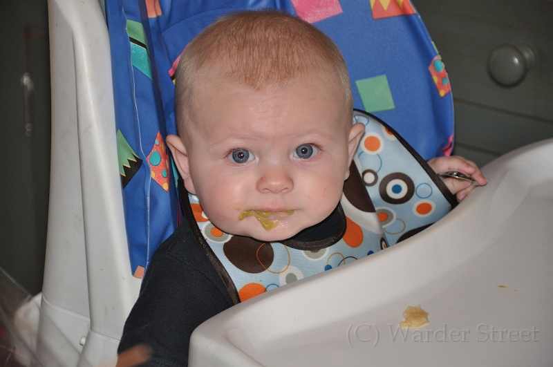 William's Twenty-Third Week 48.jpg